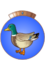 Chevalier du Canard