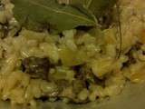 Risotto au Boeuf, oignon et herbes