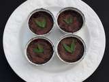 Croûtes de chocolat, ganache verveine, menthe, basilic