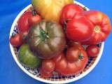 Tomates se dévergondent dans l’assiette