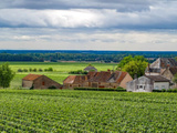 Déguster les spécialités culinaires de la Bourgogne grâce à cet hôtel