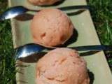 Sorbet à la rhubarbe