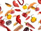 Piments : les Capsicum Chinense