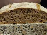 Pain à l'orge mondé au levain naturel et longue fermentation Ig bas