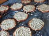 Tuiles plates biscuitées au coco ig bas