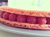 Macaron géant basilic framboise