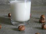 Lait de noisettes fait maison