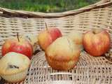 Muffins d'automne