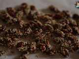Amandes caramélisées aux graines de sésames au Air Fryer