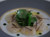 Ceviche de Saint-Jacques aux algues et pousses de betterave