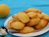 Madeleines au citron en vidéo