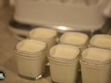 Skyr fait maison