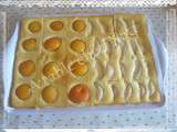 Tartelettes aux abricots et poires