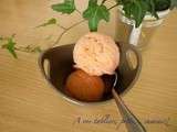 Sorbet fraise/rhubarbe