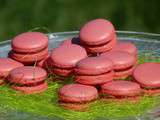 Macaron a la fraise des bois