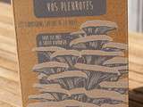 Concours ... des pleurotes dans ma cuisine de chez Prêt à Pousser