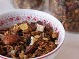 Granola croustillant gingembre et ramboutan