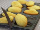 Madeleines à la vanille