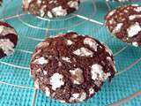 Chocolate crinkles