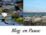 Blog en pause