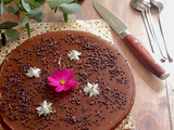Tarte chocolat sans gluten lait œuf