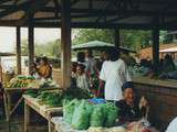 Cacao, village Hmong en Guyane