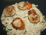 Coquilles St Jacques de Normandie tout simplement