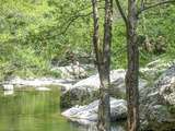 Cévennes au printemps, un massif à découvrir