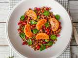 Salade de lentilles, mâche, grenade et clémentine