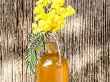 Sirop de fleurs de mimosa sauvage au cédrat