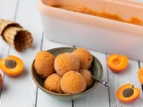 Sorbet à l'abricot maison
