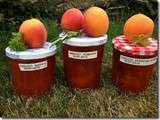 Confiture abricot romarin