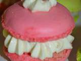 Macaron crevette grise