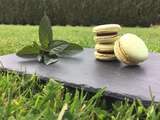 Macaron Menthe chocolat