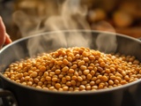 Haricots demi secs cuisson : la méthode pour réussir des grains fondants