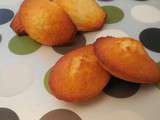 Madeleines