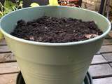 Faire un compost en appartement