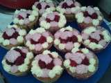 Aratta Douille: Cupcakes Citron Framboises