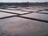 Guérande: Marais salants, sel et sucre