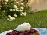 Gâteau renversé aux fruits des champs ou Renversé aux fruits rouges