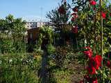 Jardins familiaux de Versailles Jussieu classés Jardin Remarquable