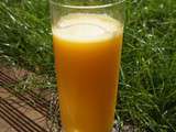 Jus d’Orange Mangue Maison