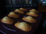 Madeleines aux Miel Versaillais