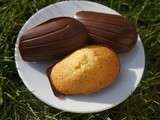 Madeleines en coque de Chocolat