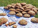 Cookies diaboliques aux pépites chocolat