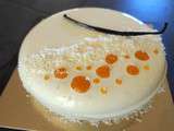 Entremet noix de coco, fruits de la passion, abricots et vanille