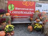 Retour sur les Comptonales 2017 (mes coups de coeur!)