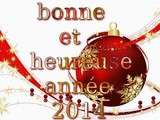 Bonne annee 2014