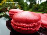 Coques de macarons pour le 100ème article