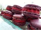 Macarons a la framboise